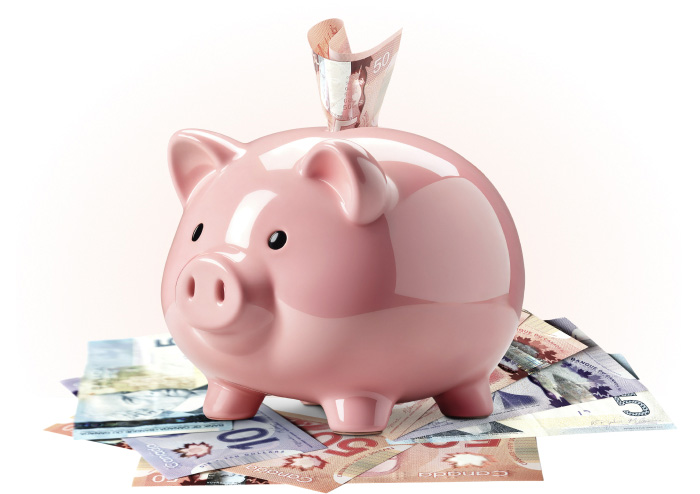 Piggy bank icon